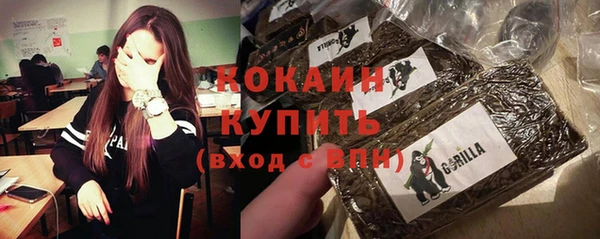 стаф Абаза
