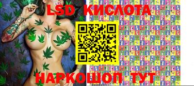сатива Гай