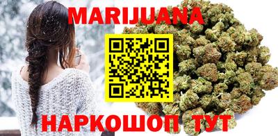 сатива Гай