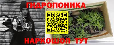 эйфоретик Гатчина