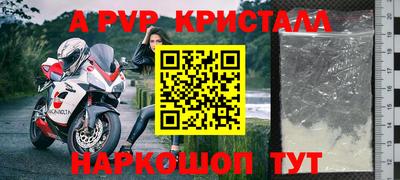 сатива Гай