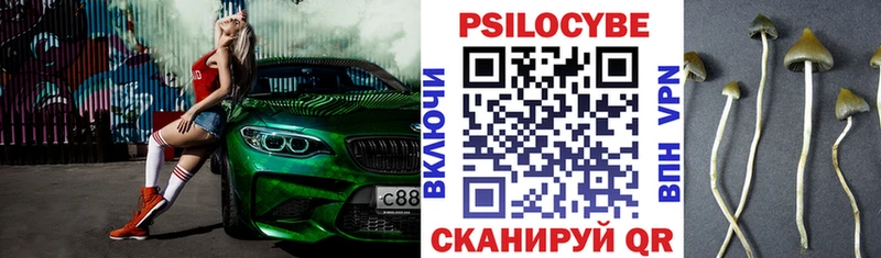 купить наркотик  Ипатово  Галлюциногенные грибы ЛСД 
