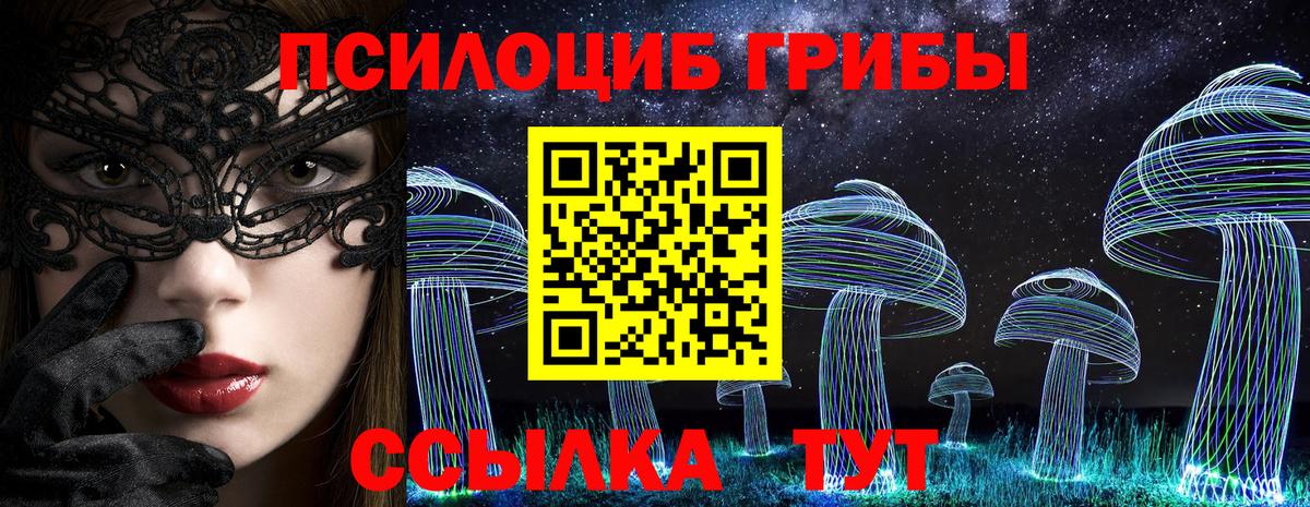 Ипатово  Галлюциногенные грибы Psilocybine cubensis  Вход с VPN 
