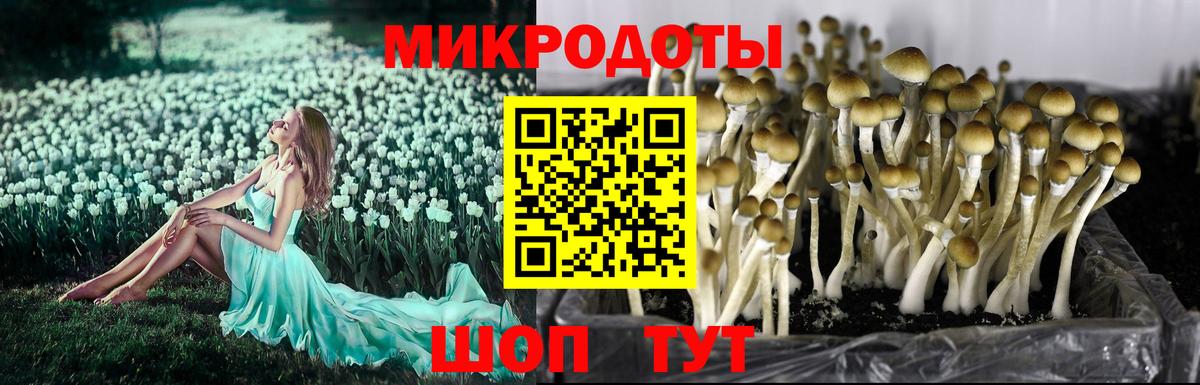 Галлюциногенные грибы мухоморы Ипатово